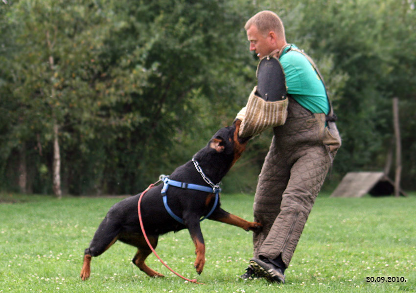 Fantasy von Kelemen Fantasy von Kelemen